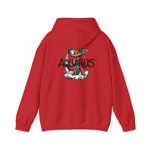 Aquarius Season Hoodie