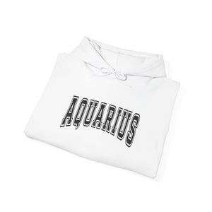 Aquarius Season Hoodie