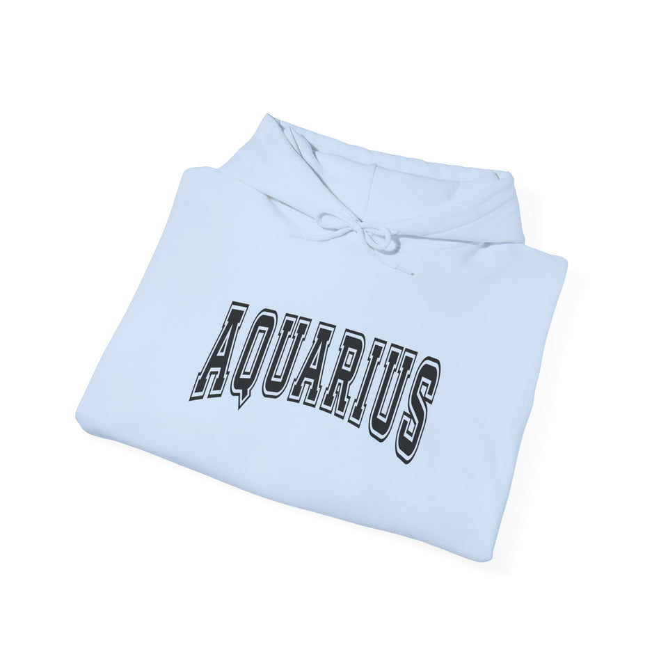 Aquarius Season Hoodie