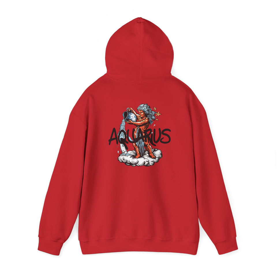 Aquarius Season Hoodie