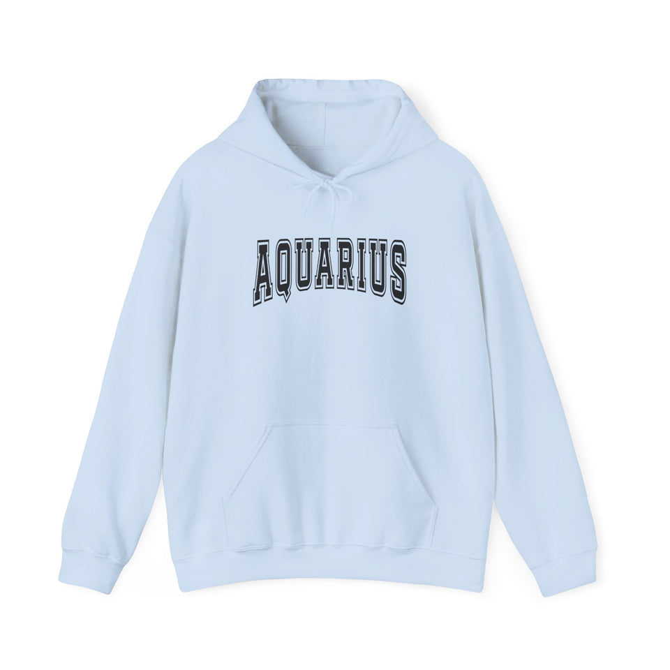 Aquarius Season Hoodie