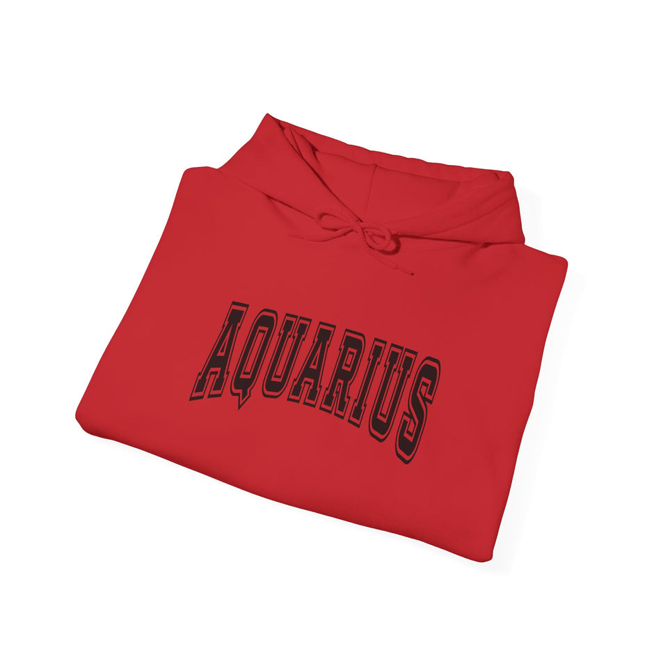 Aquarius Season Hoodie