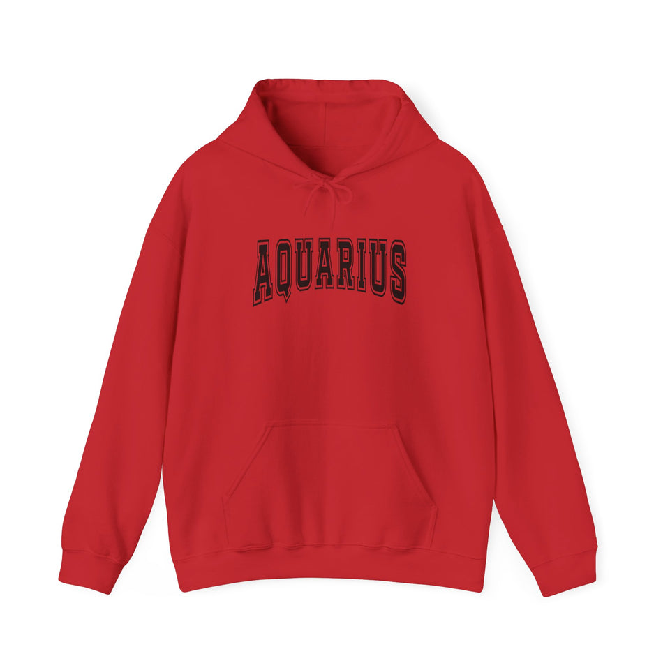 Aquarius Season Hoodie